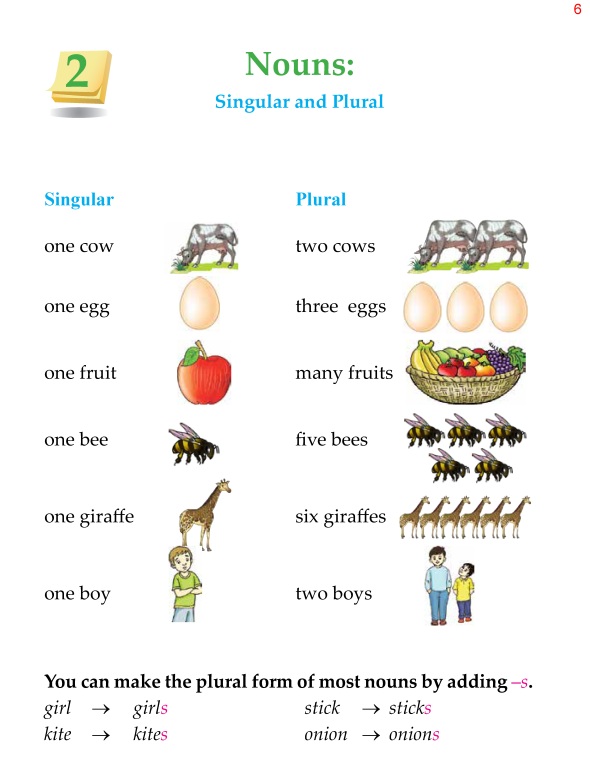 Singular And Plural Nouns For Grade 2