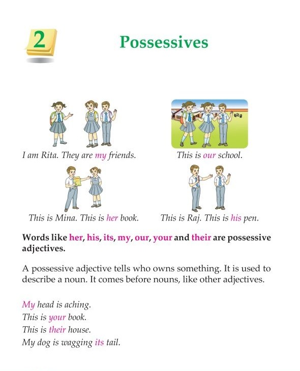 Grammar 3rd Grade Grammar Possessives