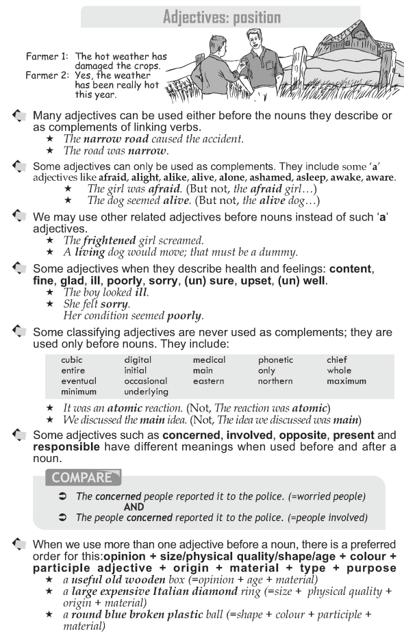 Grade 10 Grammar Lesson 19 Adjectives position (1)