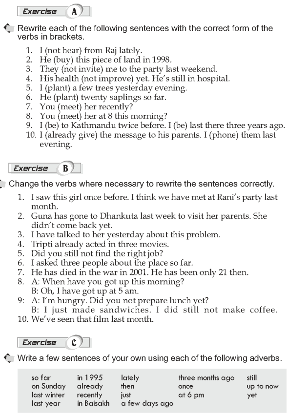 Grade 10 Grammar Lesson 4 Present perfect and past simple (3)