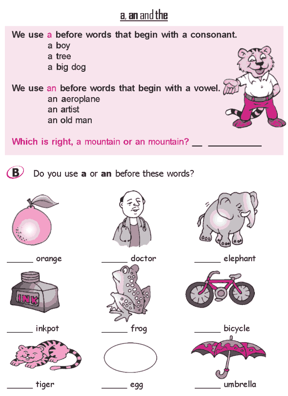 Grade 2 Grammar Lesson 3 Articles - a, an and the (2)
