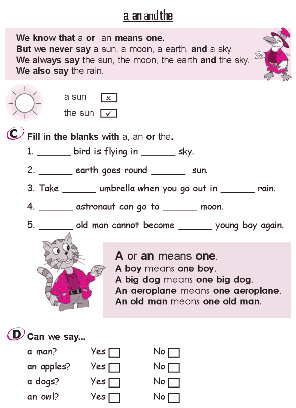 Grade 2 Grammar Lesson 3 Articles - a, an and the (3)