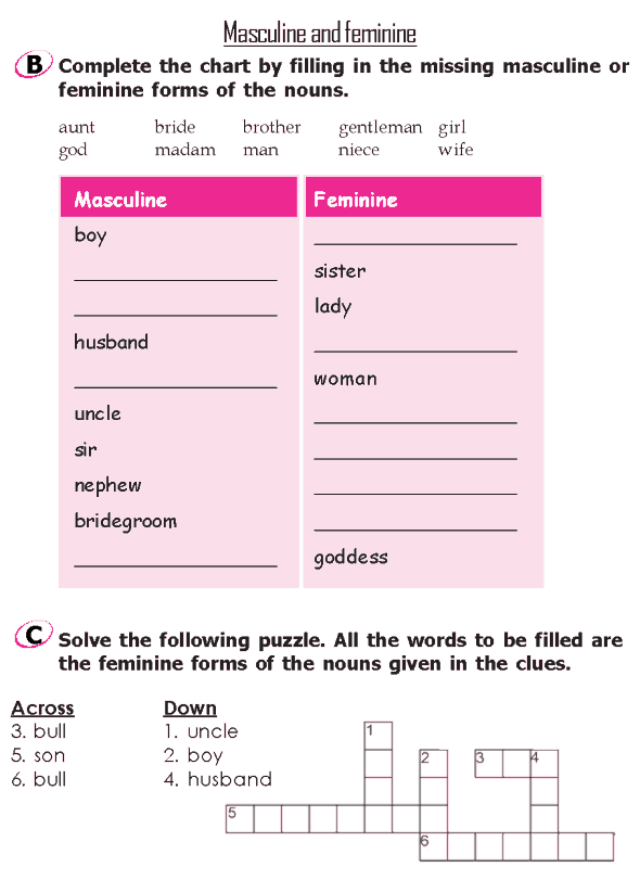 Grade 2 Grammar Lesson 7 Nouns - Masculine and feminine (3)