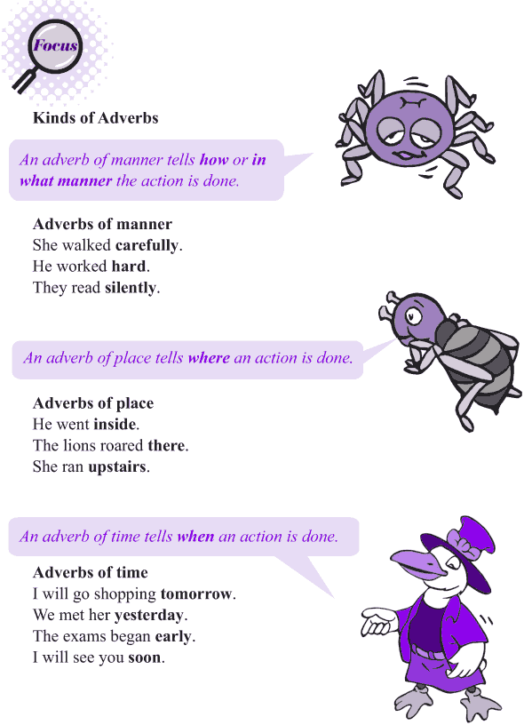 Grade 4 Grammar Lesson 11 Kinds of adverbs (2)