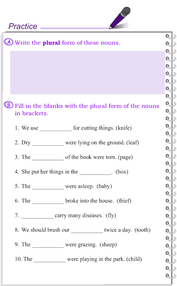 Grade 4 Grammar Lesson 5 Nouns - number (5)