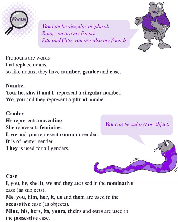 Grade 4 Grammar Lesson 9 Pronouns - number, gender and case (2)