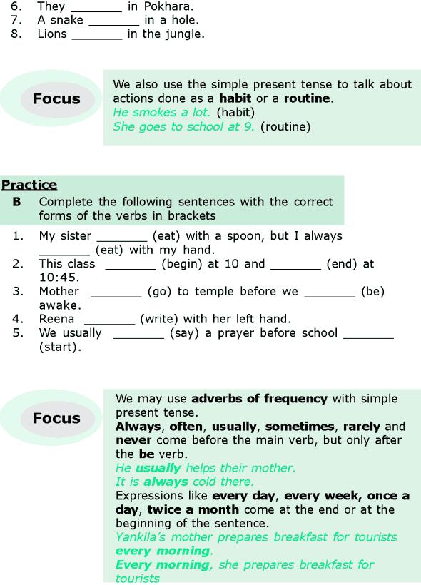 Grade 6 Grammar Lesson 1 The simple present and the present continuous (1)