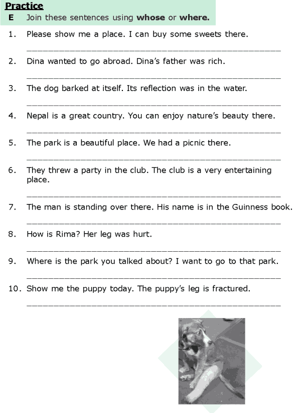 Grade 6 Grammar Lesson 10 Relative clauses (5)