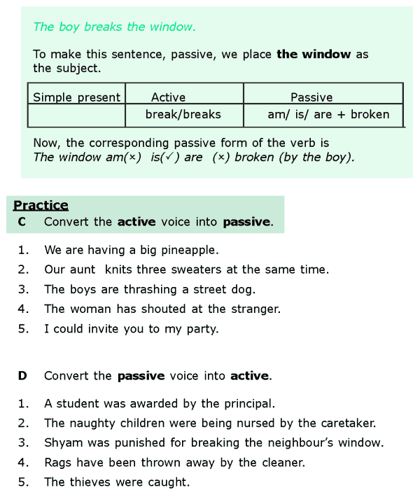 Grade 6 Grammar Lesson 11 Active and passive voice (3)