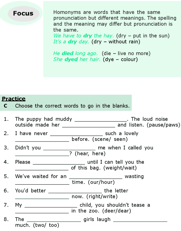 Grade 6 Grammar Lesson 14 Antonyms, synonyms and homonyms (2)