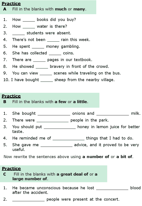 Grade 6 Grammar Lesson 16 Quantifiers (1)