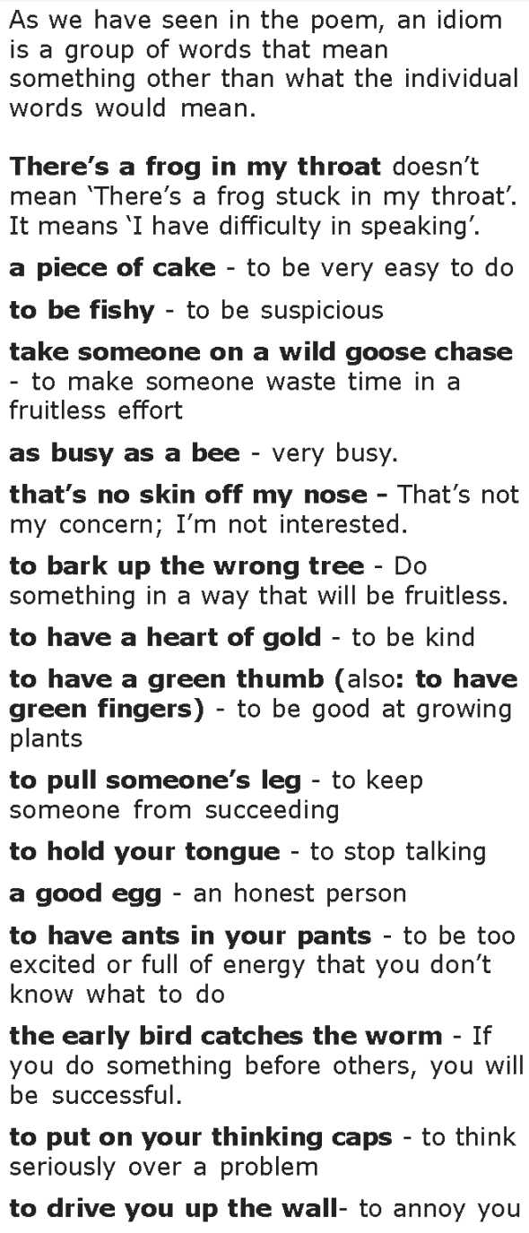 Grade 7 Grammar Lesson 16 Idioms (1)