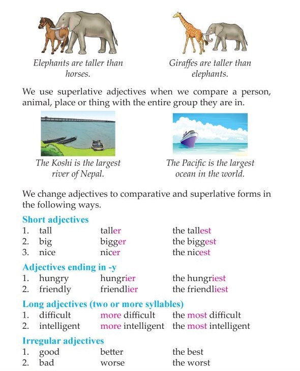 Grammar » 3rd Grade Grammar Comparison of Adjectives